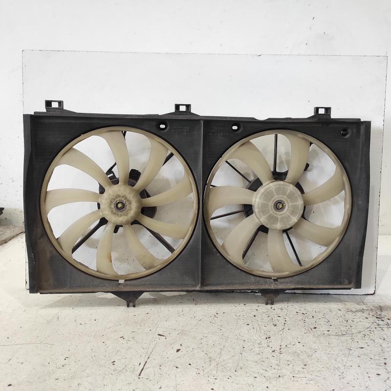 fan