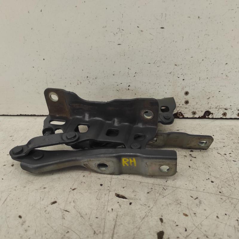 bonnet hinge/strut