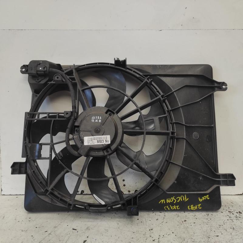 fan