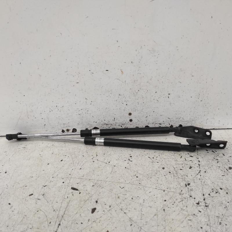 hatch strut