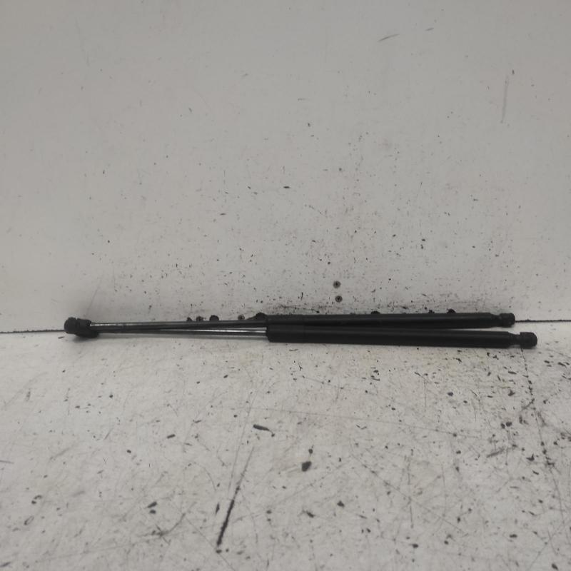 bonnet hinge/strut