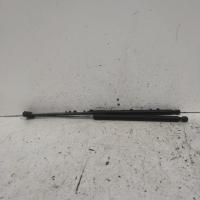 bonnet hinge/strut