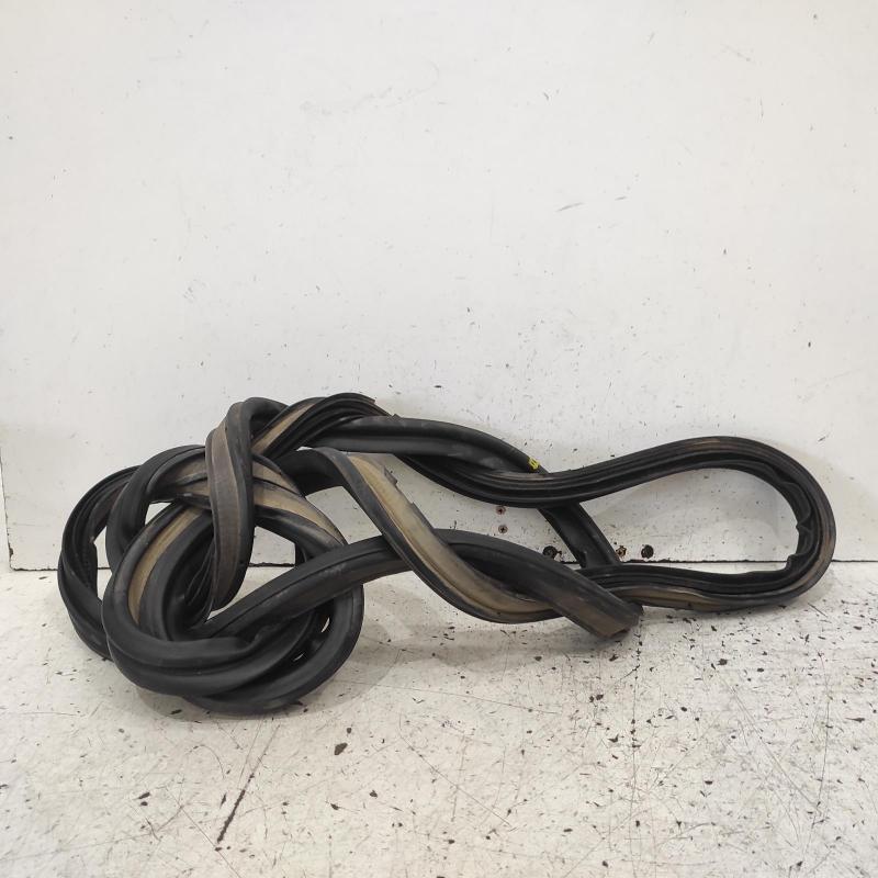 body seal ruber