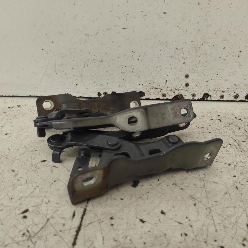 bonnet hinge/strut