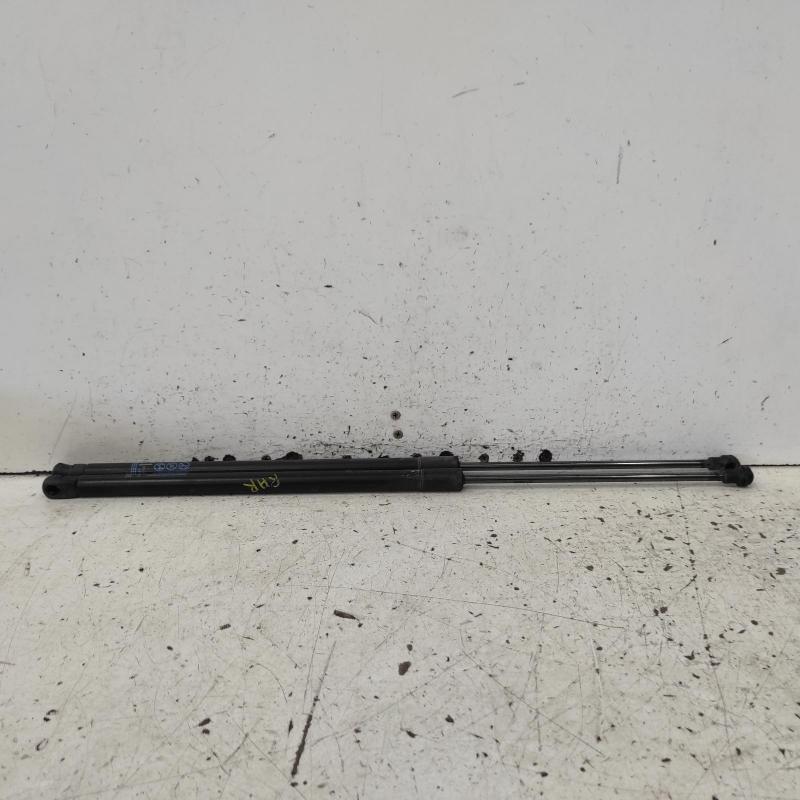 hatch strut