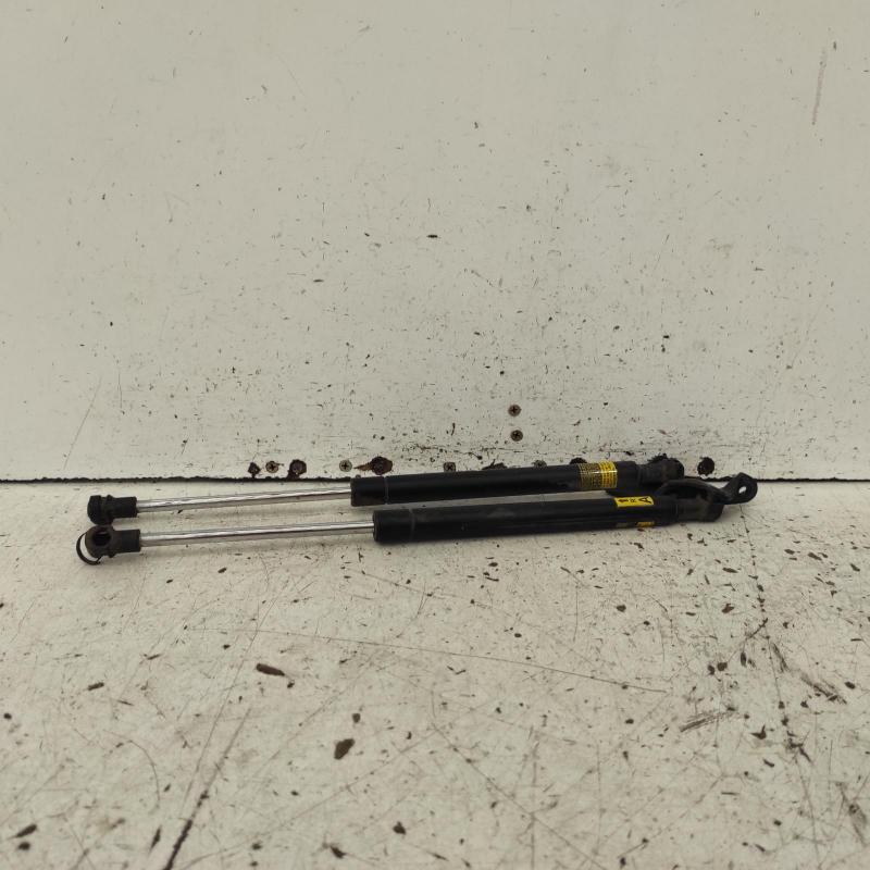 hatch strut