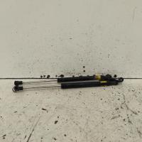 hatch strut