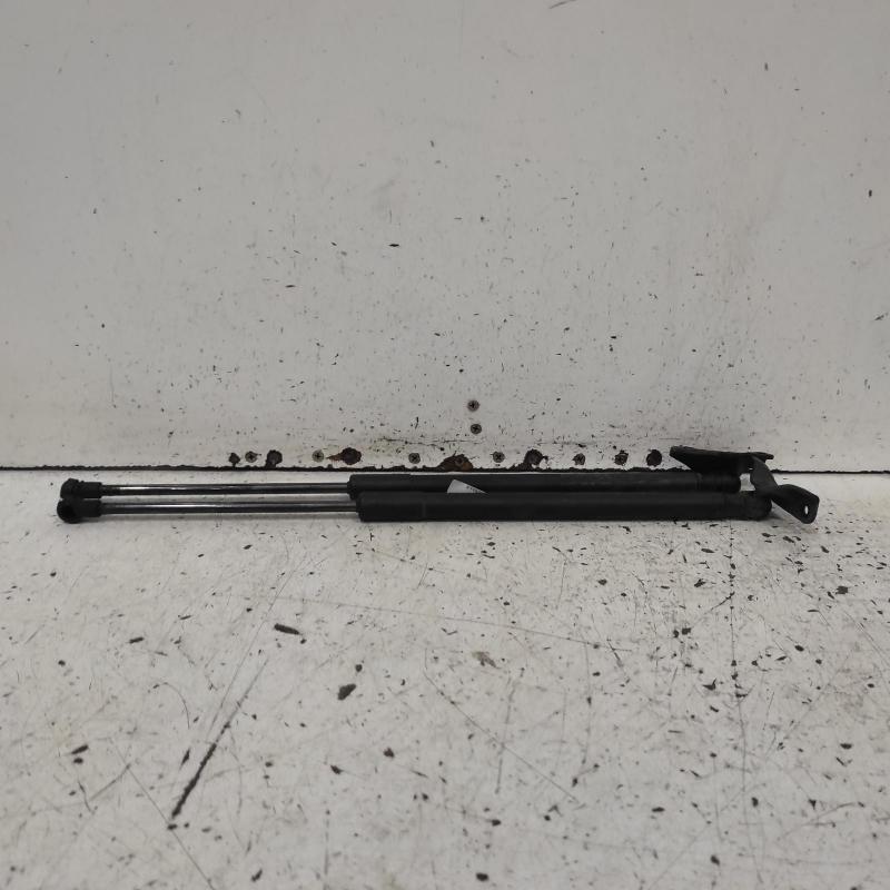 hatch strut