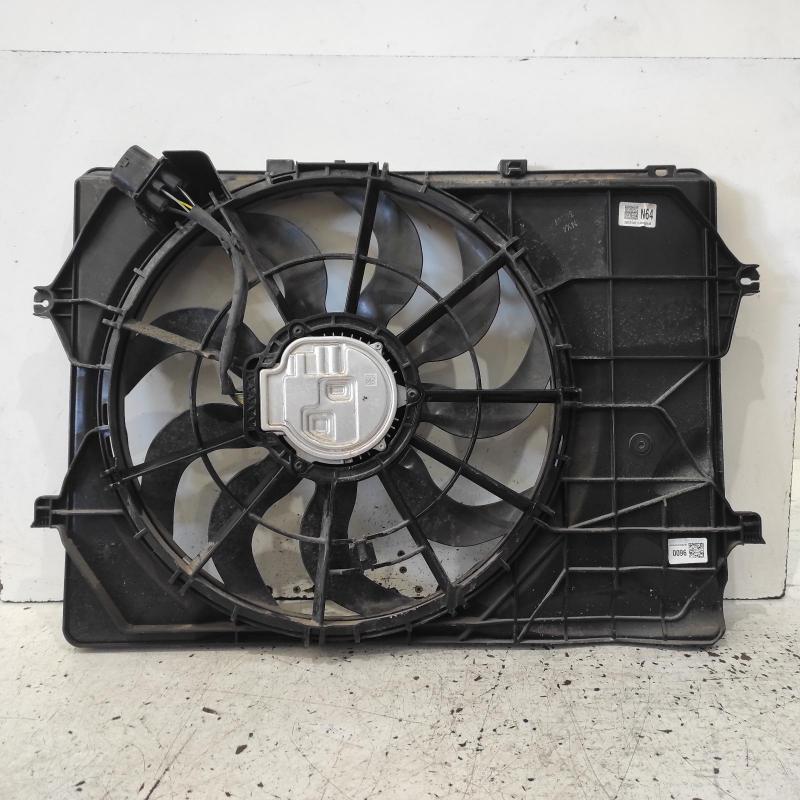 fan