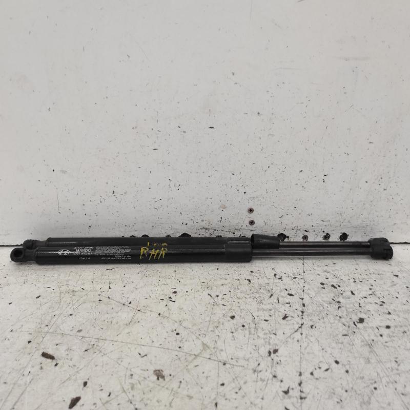 hatch strut