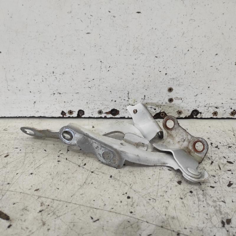 bonnet hinge/strut