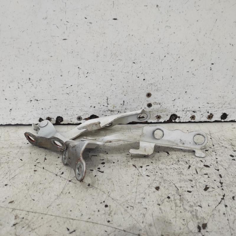bonnet hinge/strut
