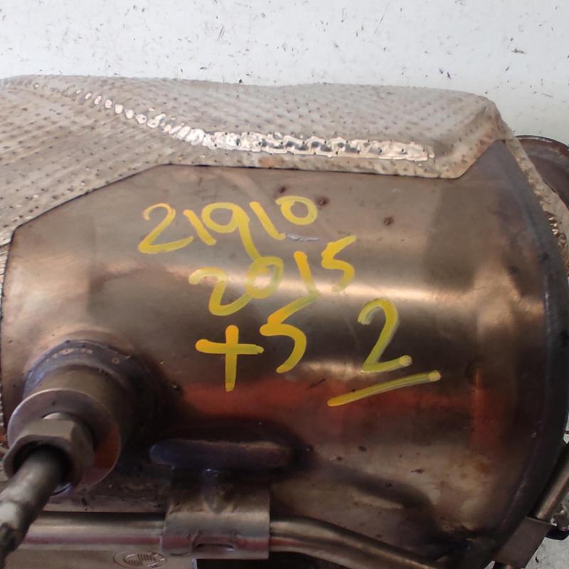 diesel particulate filter (DPF)
