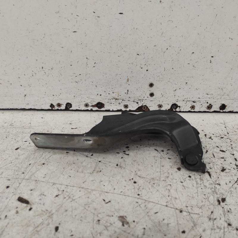 bonnet hinge/strut
