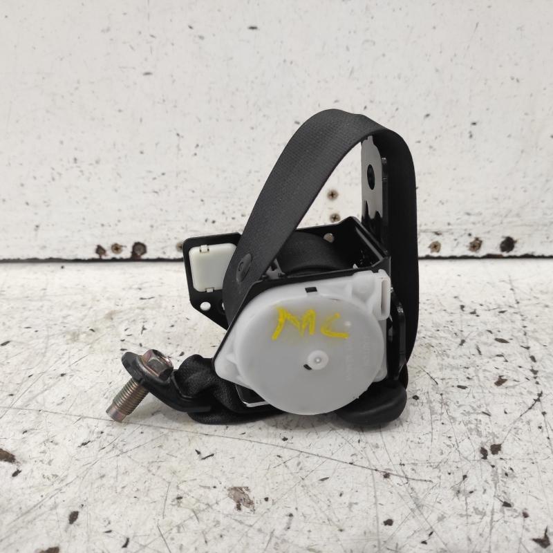 seat belt stalk