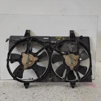 fan
