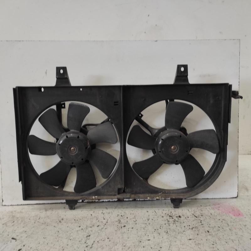 fan