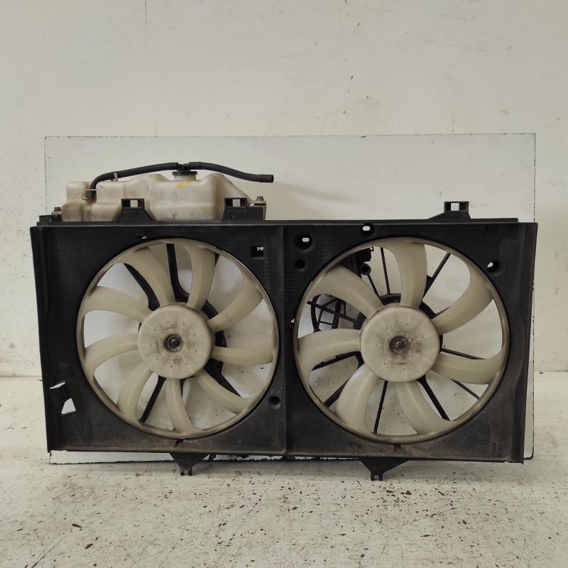 fan
