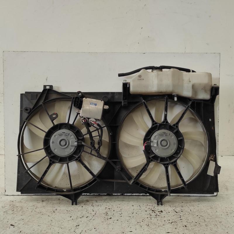 fan
