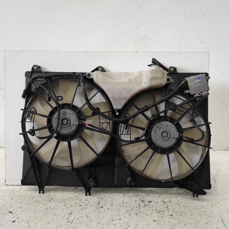 fan