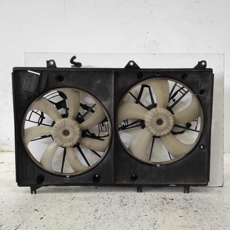 fan