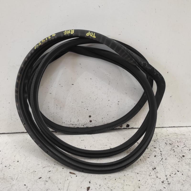 body seal ruber