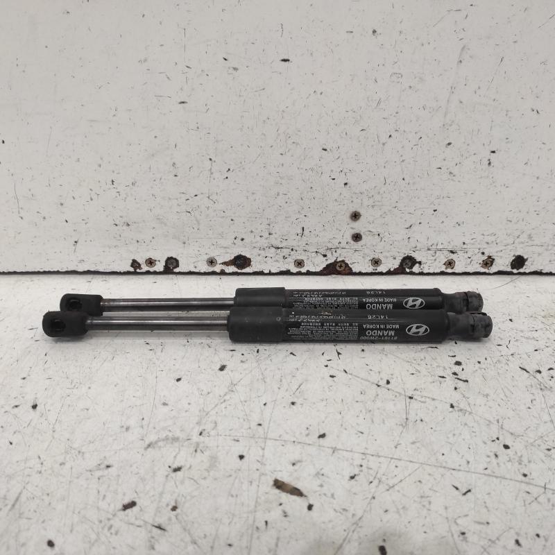 bonnet hinge/strut