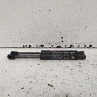 bonnet hinge/strut