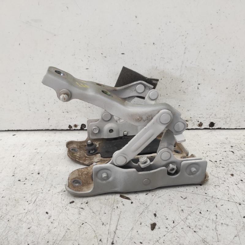 bonnet hinge/strut