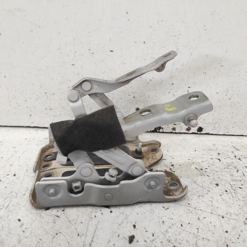 bonnet hinge/strut