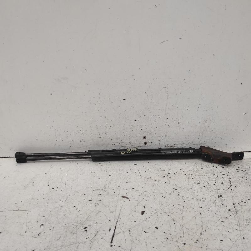 hatch strut