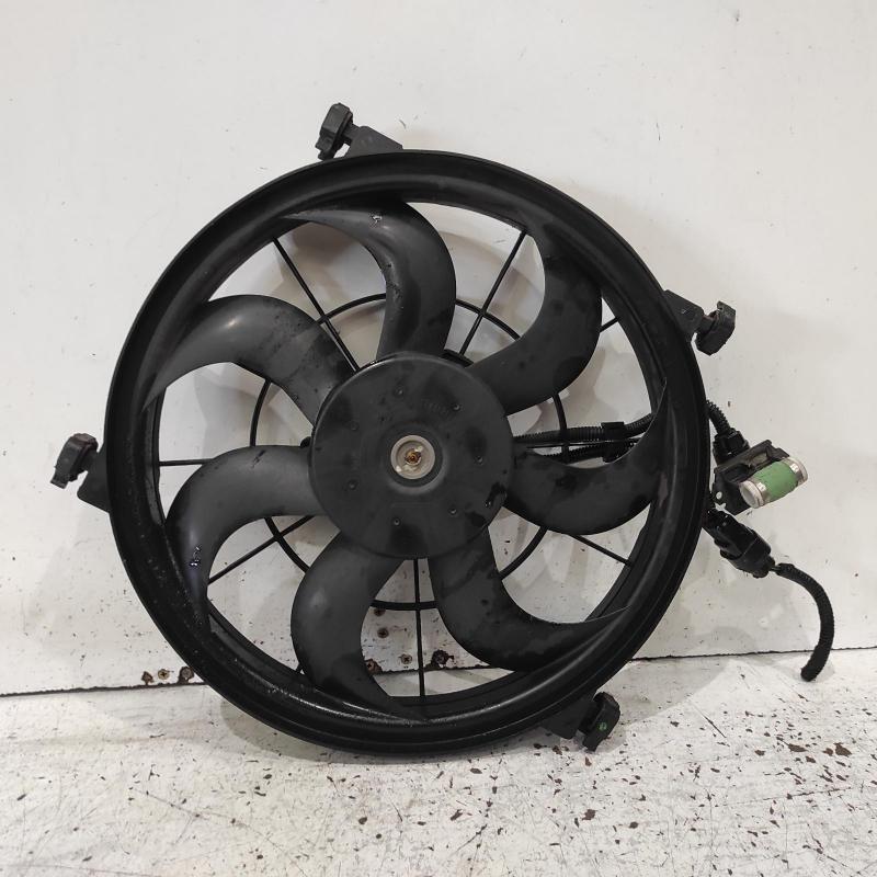 fan