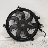 fan