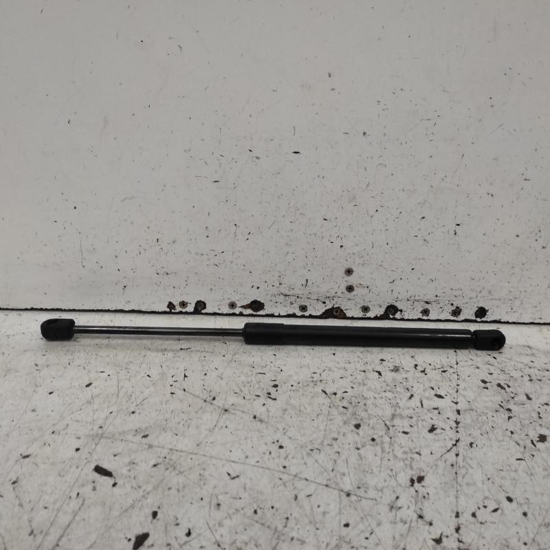 hatch strut