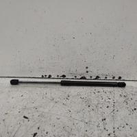 hatch strut