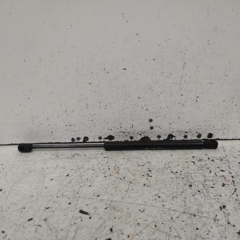 hatch strut