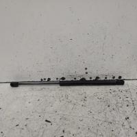hatch strut