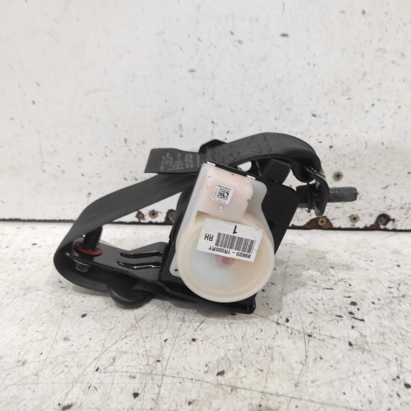 seat belt stalk