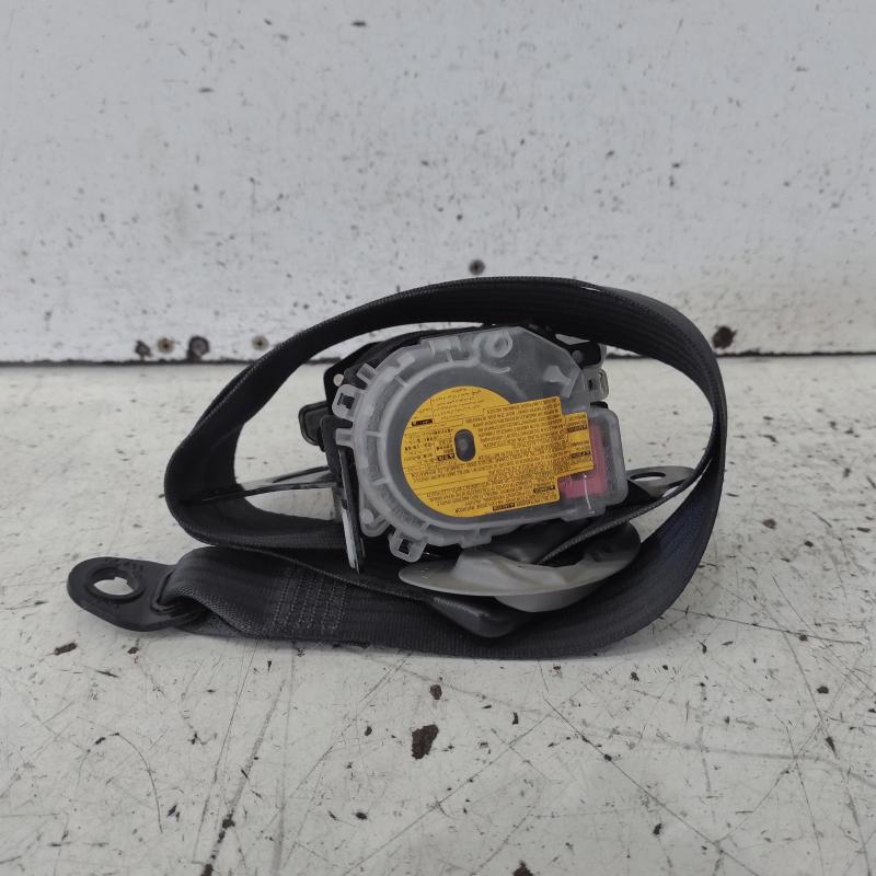 seat belt stalk