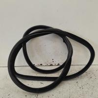 body seal ruber