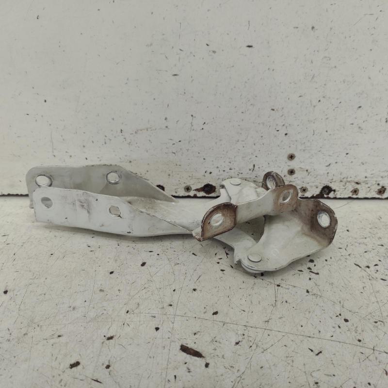 bonnet hinge/strut