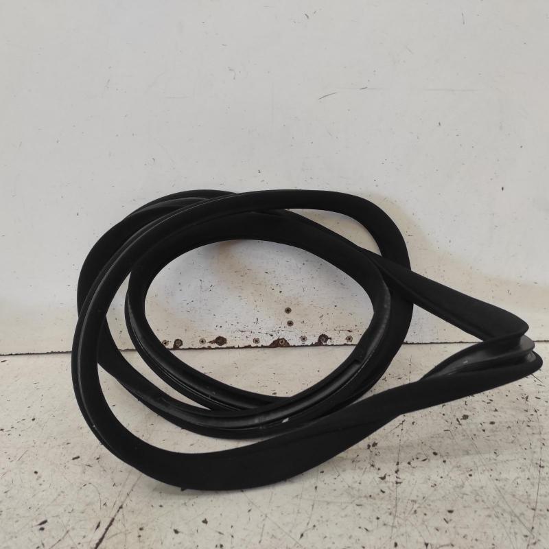 body seal ruber