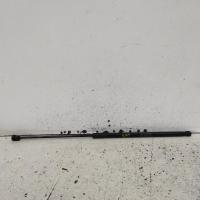 bonnet hinge/strut