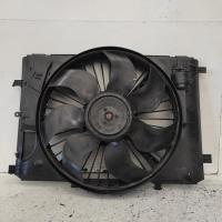 fan
