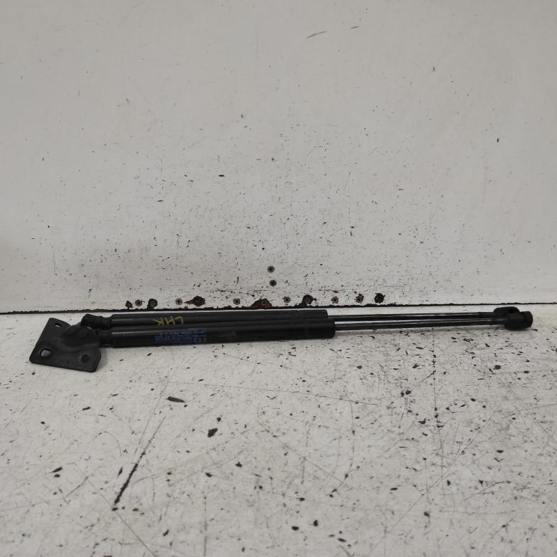 hatch strut