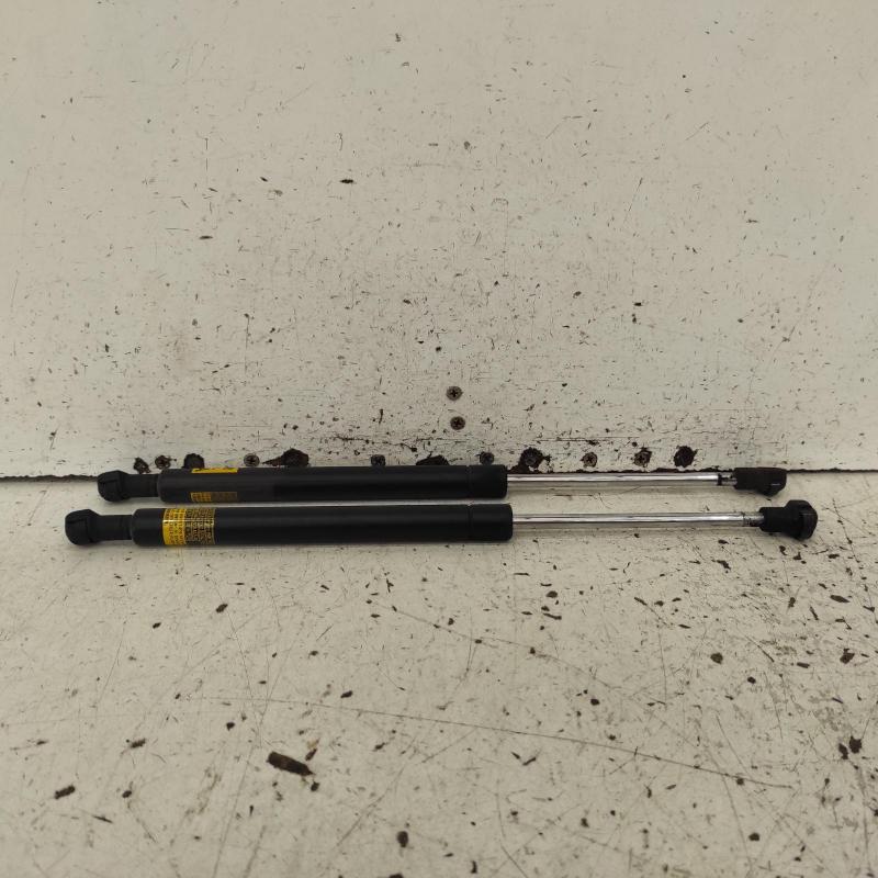hatch strut