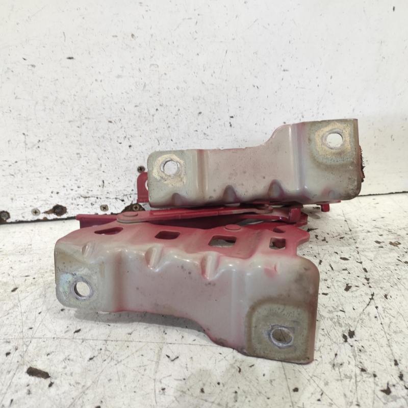 bonnet hinge/strut
