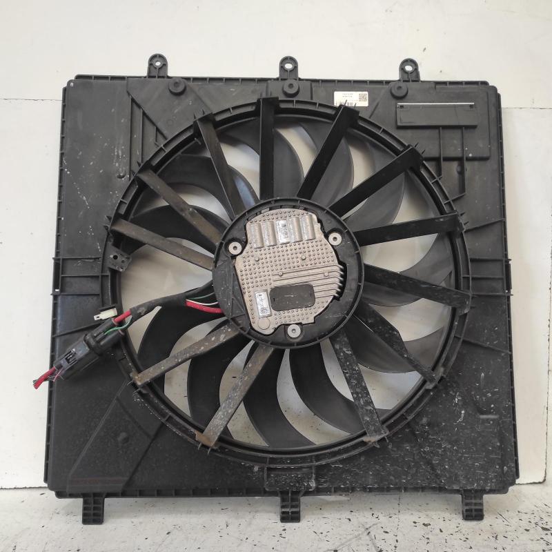fan