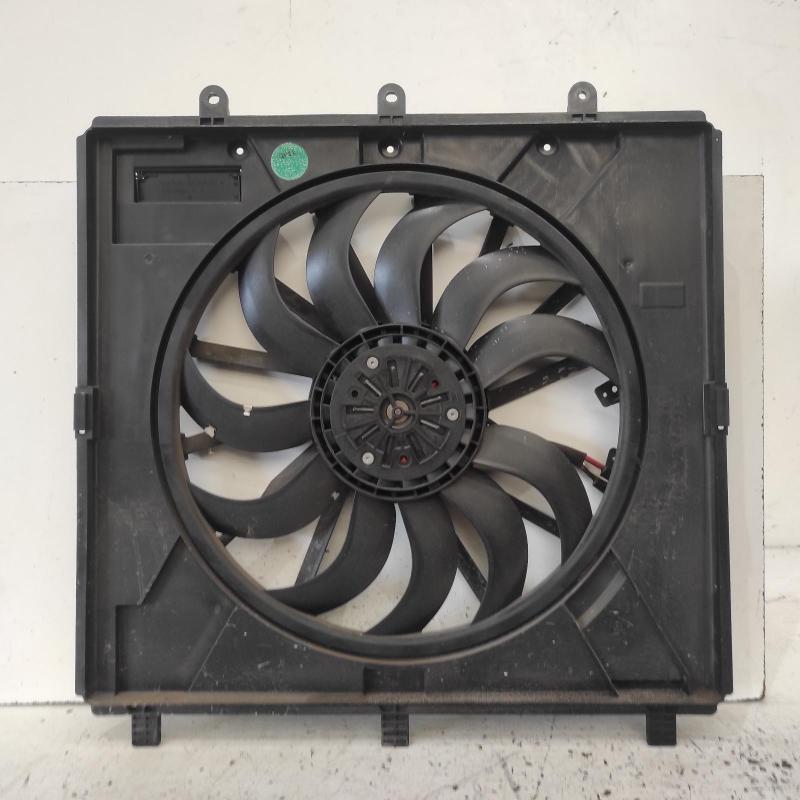 fan