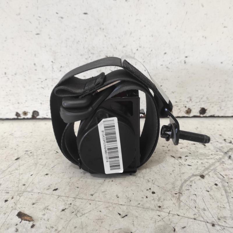 seat belt stalk